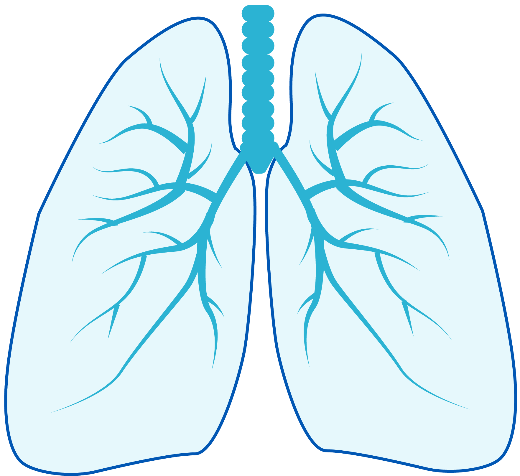 Causes Et Facteurs De Risques Du Cancer Du Poumon